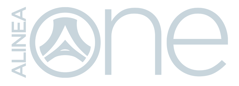 Alinea One